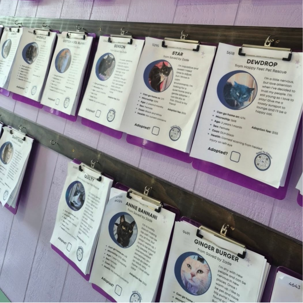 Clipboards with the names of the adoptable cats, include Cotton Wool Blanket, Annie Bannani, and Ginger Burger