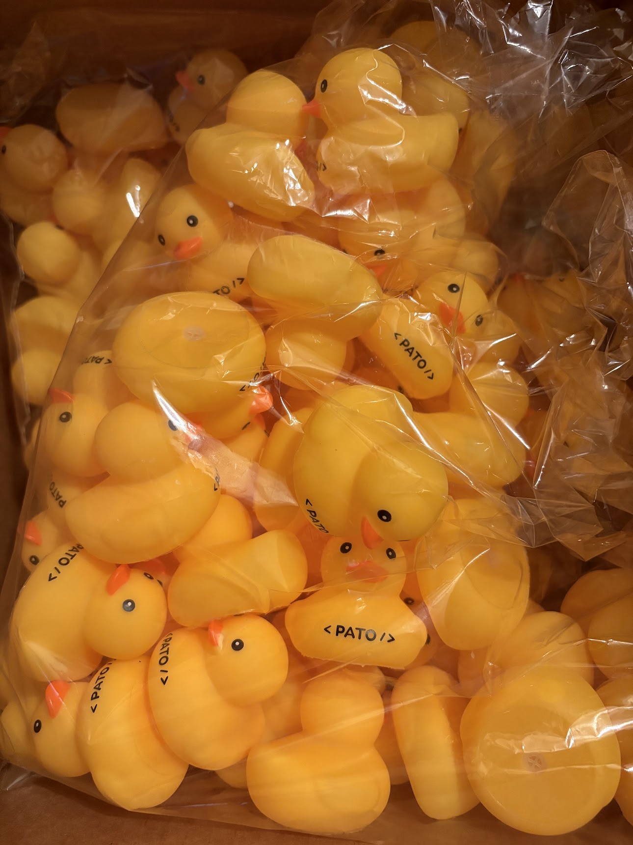 A box of rubber ducks with PATO stamped across their chest